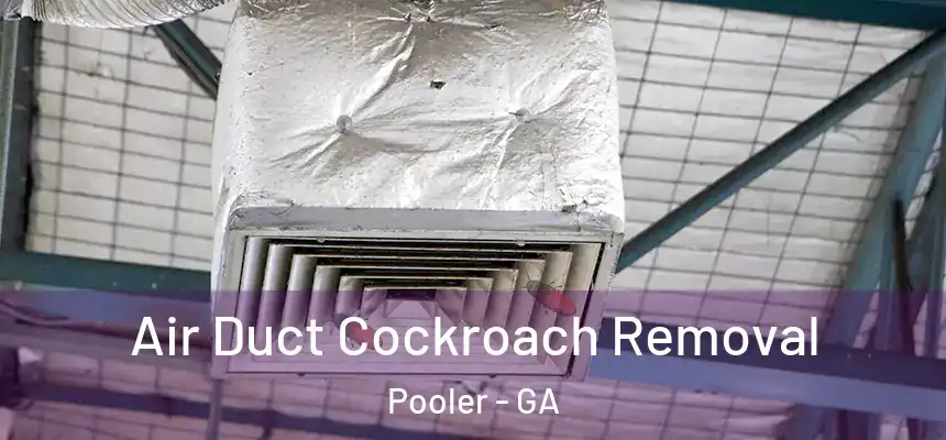 Air Duct Cockroach Removal Pooler - GA