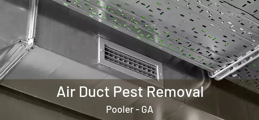 Air Duct Pest Removal Pooler - GA