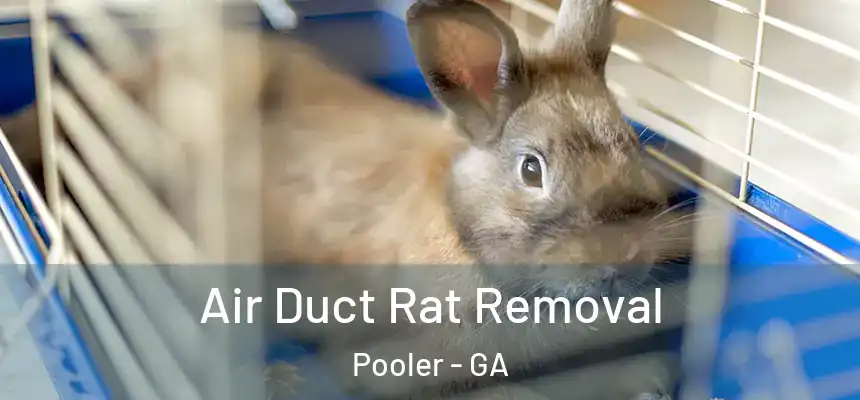  Air Duct Rat Removal Pooler - GA