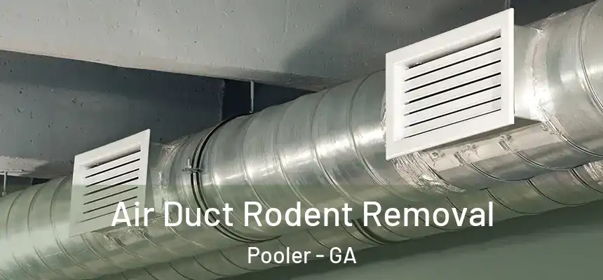  Air Duct Rodent Removal Pooler - GA