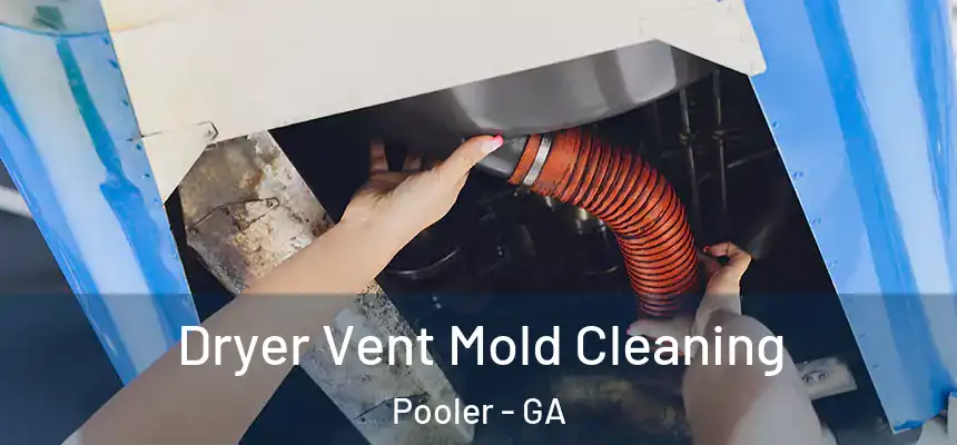  Dryer Vent Mold Cleaning Pooler - GA