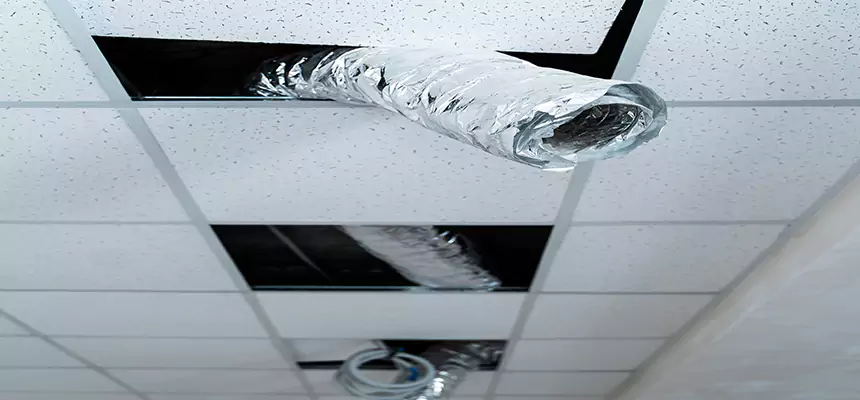 Our Air Duct Pet Hair Removal Services in Pooler, GA