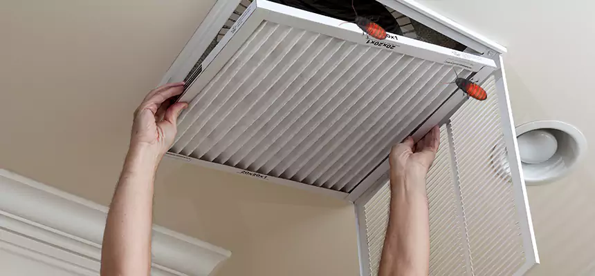 Our Insect Removal from Air Ducts Services in Pooler, GA