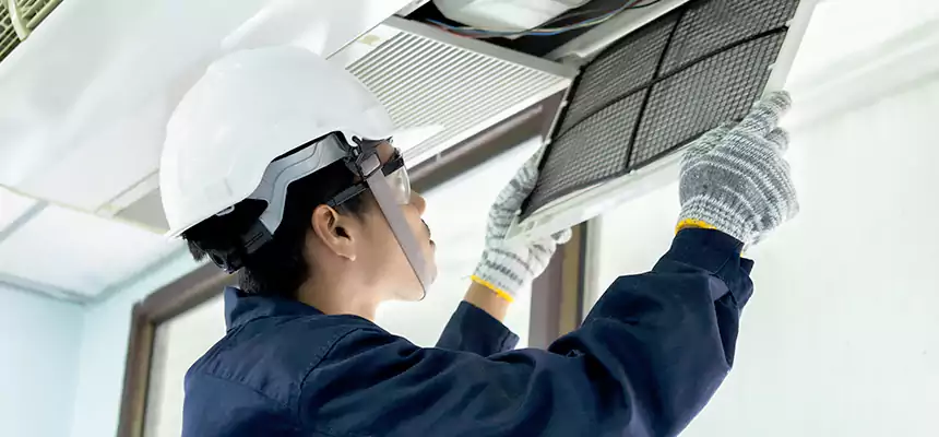 Our Mold & Mildew Removal from Air Ducts Services in Pooler, GA