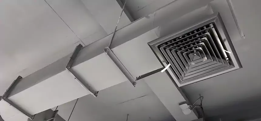 Our Pest Removal From Ducts Services in Pooler, GA