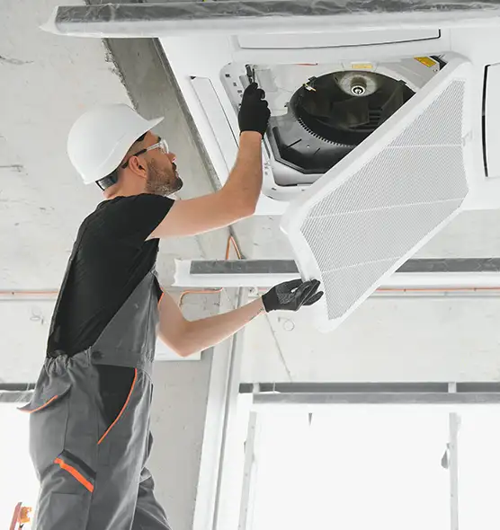 About Air Duct Rodent Removal in Pooler, GA