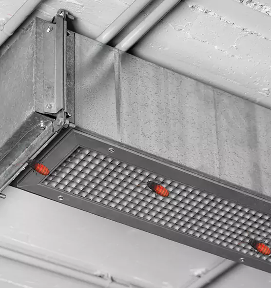 Affordable Insect Removal from Air Ducts in Pooler, GA