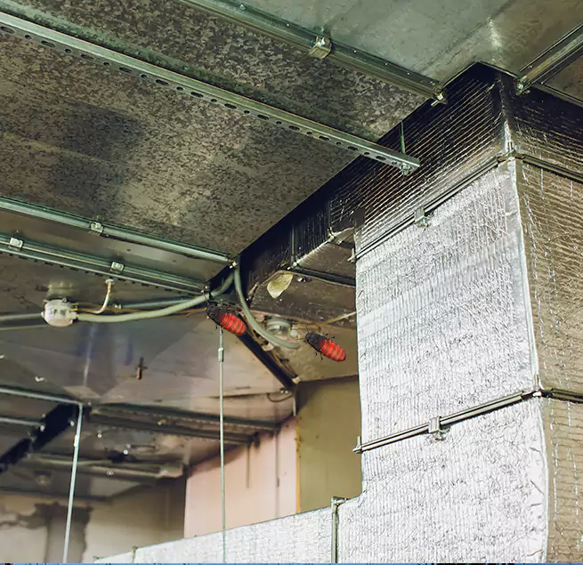 Why Homeowners & Businesses Trust Us in Pooler, GA?