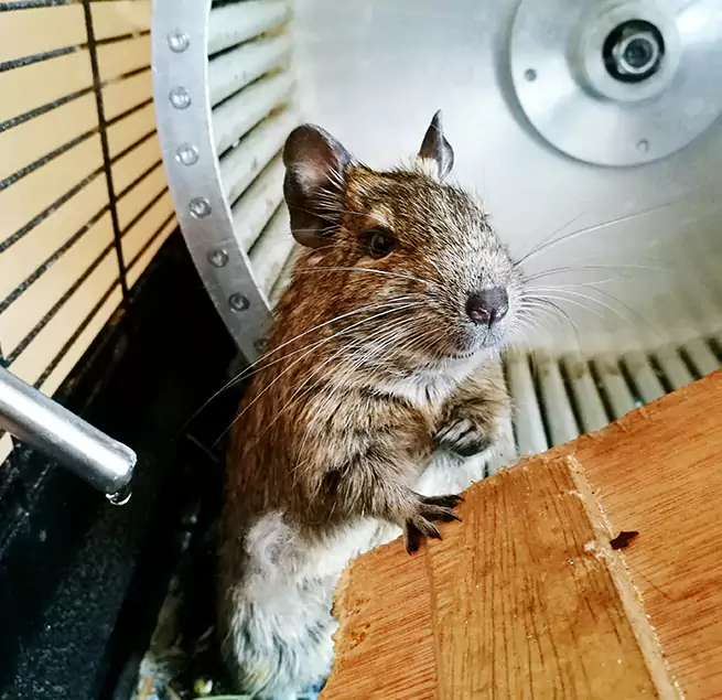 Why Homeowners & Businesses Trust Us Pooler, GA