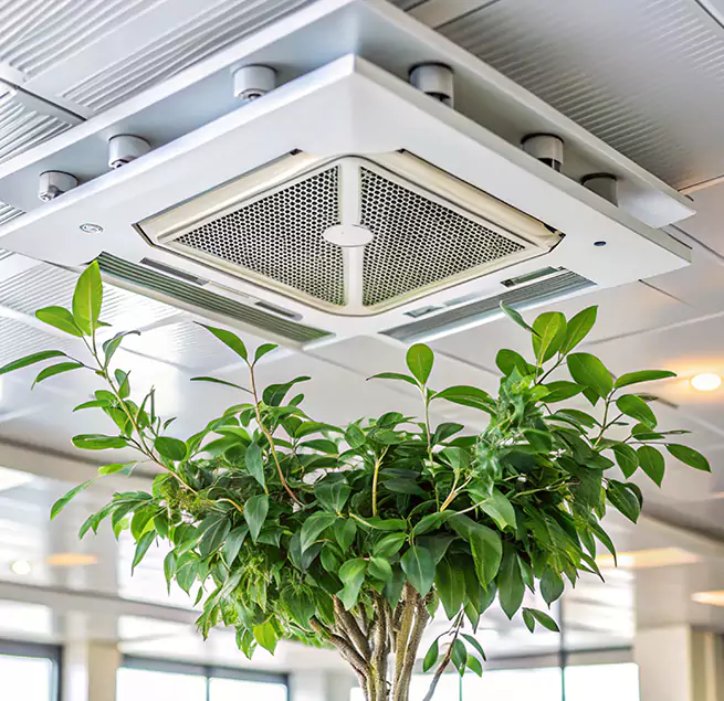 Why Homeowners & Businesses Trust Us in Pooler, GA?